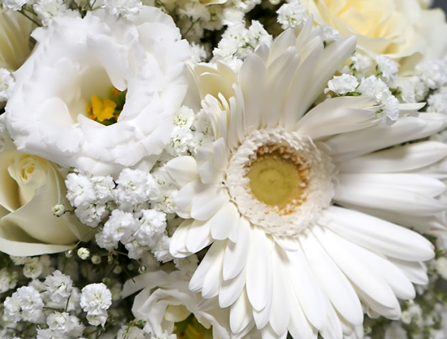 Bride's bouquet of white roses, gypsophila and gerberas photo